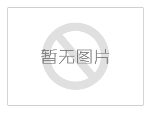 渣漿水泵引見(jiàn)渣漿泵運(yùn)用不當(dāng)容易惹起哪些問(wèn)題？